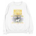 Anatomy Of Boston Terrier Dog Lover Unisex Sweatshirt, trending gift