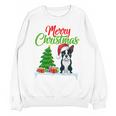 Boston Terrier Christmas Tree Lights Xmas Dog Lover Unisex Sweatshirt, Boston Terrier Christmas Gifts, trending gift