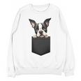 Boston Terrier Dog Puppy Dog In Pocket Cute Pet Lover Unisex Sweatshirt, trending gift