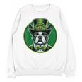 Boston Terrier Dog St Patricks Day Irish Pet Lover Men Women Kids Unisex Sweatshirt, trending gift
