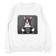 Boston Terrier Mug Shot Guilty Dog Unisex Sweatshirt, trending gift