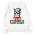 Boston Terrier Santa Claus Christmas Dog Unisex Sweatshirt, Boston Terrier Christmas Gifts, trending gift
