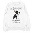 Life Is Better With A Boston Terrier Dog For Lover Unisex Sweatshirt, trending gift