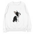 Love NOPE Boston Terrier Dog Lover Unisex Sweatshirt, trending gift