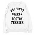 Property Of Boston Terrier Boston Terrier Shirt Unisex Sweatshirt, trending gift