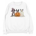 Spooky Ghost Boston Terrier Pumpkin Halloween Dog Lover Unisex Sweatshirt, Boston Terrier Ghost Gifts, Boston Terrier Halloween Gifts, trending gift