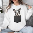 Boston Terrier Dog Puppy Dog In Pocket Cute Pet Lover Unisex Sweatshirt, funny design