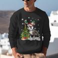 Boston Terrier Christmas Tree Lights Santa Hat Unisex Sweatshirt, Boston Terrier Christmas Sweatshirts, funny gift