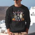 Boston Terrier Halloween Costume Mummy Witch Ghost Dog Lover For Men Women Kids Unisex Sweatshirt, Boston Terrier Ghost Sweatshirts, Boston Terrier Halloween Sweatshirts, funny gift