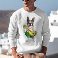 Hawaiian Boston Terrier Dog Pineapple Ukulele Summer For Men Women Girls Kids Unisex Sweatshirt, funny gift