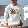 Spooky Ghost Boston Terrier Pumpkin Halloween Dog Lover Unisex Sweatshirt, Boston Terrier Ghost Sweatshirts, Boston Terrier Halloween Sweatshirts, funny gift