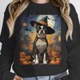 Aesthetic Halloween Boston Terrier Dog Witch Pumpkin For Men Women Kids Unisex Sweatshirt, novelty gifts, funny gifts