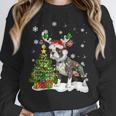Boston Terrier Christmas Tree Lights Santa Hat Unisex Sweatshirt, novelty gifts, funny gifts