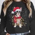 Boston Terrier Dog Ugly Christmas Dog Xmas For Men Women Kids Unisex Sweatshirt, novelty gifts, funny gifts