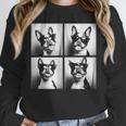 Boston Terrier Dogs With Sunglasses Photo Pets Meme Unisex Sweatshirt, novelty gifts, funny gifts