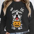 Halloween Dog Boston Terrier Mummy Costume Men Women Kids Unisex Sweatshirt, novelty gifts, funny gifts