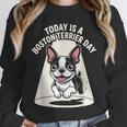 Today Is A Boston Terrier Day Cute Dog Lover Cartoon Unisex Sweatshirt, novelty gifts, funny gifts