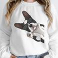 Boston Terrier Bostie Dog Kids Men Unisex Sweatshirt, novelty gifts, funny gifts