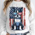 Boston Terrier Dog American USA US Flag Pets Vintage Outfit Unisex Sweatshirt, novelty gifts, funny gifts
