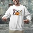 Spooky Ghost Boston Terrier Pumpkin Halloween Dog Lover Unisex Sweatshirt, Boston Terrier Ghost Sweatshirts, Boston Terrier Halloween Sweatshirts, gift for family, gift for coworker