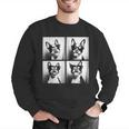 Boston Terrier Dogs With Sunglasses Photo Pets Meme Men Graphic Sweatshirt, funny gift