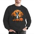 Pumpkin Boston Terrier Costume On Boston Terrier Halloween Men Graphic Sweatshirt, Boston Terrier Halloween Sweatshirts, funny gift