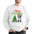 Boston Terrier Christmas Tree Lights Xmas Dog Lover Men Graphic Sweatshirt, Boston Terrier Christmas Sweatshirts, funny gift