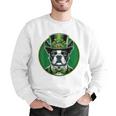 Boston Terrier Dog St Patricks Day Irish Pet Lover Men Women Kids Men Graphic Sweatshirt, funny gift