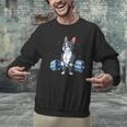 Boston Terrier Weightlifting Deadlift Men Fitness Gym Men Graphic Sweatshirt, Boston Terrier Gym Sweatshirts, gift for family, gift for coworker