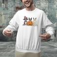 Spooky Ghost Boston Terrier Pumpkin Halloween Dog Lover Men Graphic Sweatshirt, Boston Terrier Ghost Sweatshirts, Boston Terrier Halloween Sweatshirts, gift for family, gift for coworker