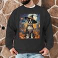 Aesthetic Halloween Boston Terrier Dog Witch Pumpkin For Men Women Kids Men Graphic Sweatshirt, novelty gifts, funny gifts