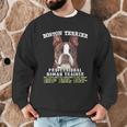 Boston Terrier Brindle Dog Professional Human Trainer Men Graphic Sweatshirt, novelty gifts, funny gifts