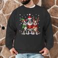 Boston Terrier Christmas Dogs Santa Reindeer Elf Men Graphic Sweatshirt, novelty gifts, funny gifts