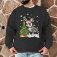 Boston Terrier Christmas Tree Lights Santa Hat Men Graphic Sweatshirt, novelty gifts, funny gifts