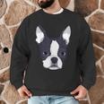 Kids Boston Terrier Dog For Women And Girls Men Graphic Sweatshirt, novelty gifts, funny gifts