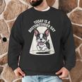 Today Is A Boston Terrier Day Cute Dog Lover Cartoon Men Graphic Sweatshirt, novelty gifts, funny gifts