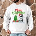 Boston Terrier Christmas Tree Lights Xmas Dog Lover Men Graphic Sweatshirt, novelty gifts, funny gifts
