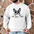Boston Terrier Dog Owner I Do What I Want Pet Men Graphic Sweatshirt, novelty gifts, funny gifts