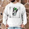Cool Saint Patrick's Boston Terrier T Shirt For Dogs Lovers Men Graphic Sweatshirt, novelty gifts, funny gifts