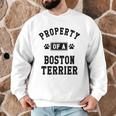 Property Of Boston Terrier Boston Terrier Shirt Men Graphic Sweatshirt, novelty gifts, funny gifts