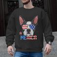 Boston Terrier Merica 4th Of July T Shirt Men Boys Dog Puppy Men Graphic Sweatshirt, Boston Terrier 4th Of July Gifts, trending gift