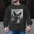 Dog Mom Dad Alien Selfie Boston Terrier UFO For Men Women Men Graphic Sweatshirt, Mom Gifts, Boston Terrier Dad Gifts, Boston Terrier Mom Gifts, trending gift