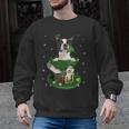 St Patrick's Day Leprechaun Boston Terrier Dog Shamrock For Men Women Kids Men Graphic Sweatshirt, trending gift