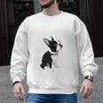Love NOPE Boston Terrier Dog Lover Men Graphic Sweatshirt, trending gift
