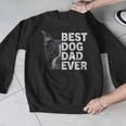 Best Dog Dad Ever Boston Terrier Dog Lover For Dad Men Women Girls Kids Men Graphic Sweatshirt, Boston Terrier Dad Gifts, funny design