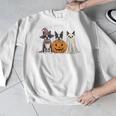 Spooky Ghost Boston Terrier Pumpkin Halloween Dog Lover Men Graphic Sweatshirt, Boston Terrier Ghost Gifts, Boston Terrier Halloween Gifts, funny design