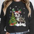 Boston Terrier Christmas Tree Lights Santa Hat Women Crewneck Sweatshirt, Boston Terrier Christmas Gifts, funny design