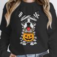 Halloween Dog Boston Terrier Mummy Costume Men Women Kids Women Crewneck Sweatshirt, Boston Terrier Halloween Gifts, funny design
