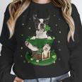 St Patrick's Day Leprechaun Boston Terrier Dog Shamrock For Men Women Kids Women Crewneck Sweatshirt, funny design