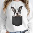 Boston Terrier Dog Puppy Dog In Pocket Cute Pet Lover Women Crewneck Sweatshirt, funny design